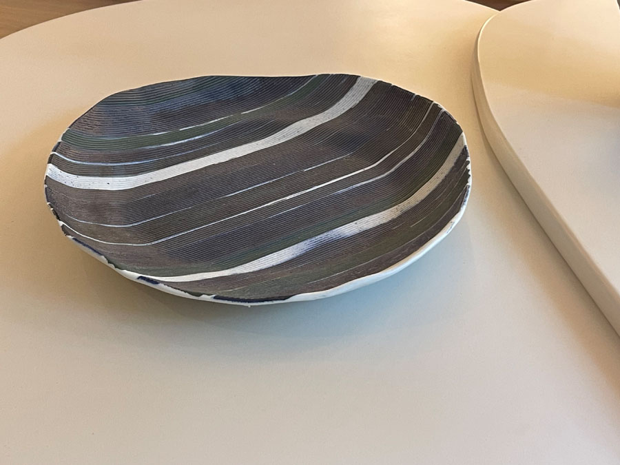 PLATO RAYAS